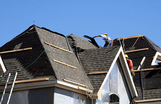 Best Storm Damage Roof Repair  in Elkhorn City, KY