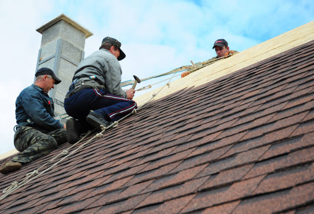 Best Gutter Installation and Roofing  in Elkhorn City, KY